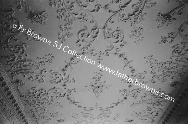 CASTLETOWN HOUSE  ENTRANCE HALL CEILING